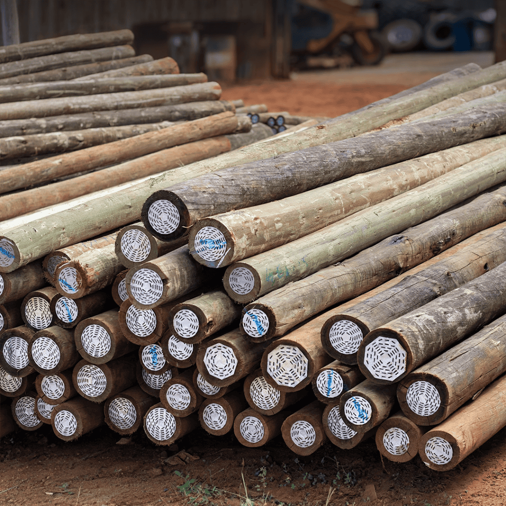 CCA treated gum poles stacked in the yard.