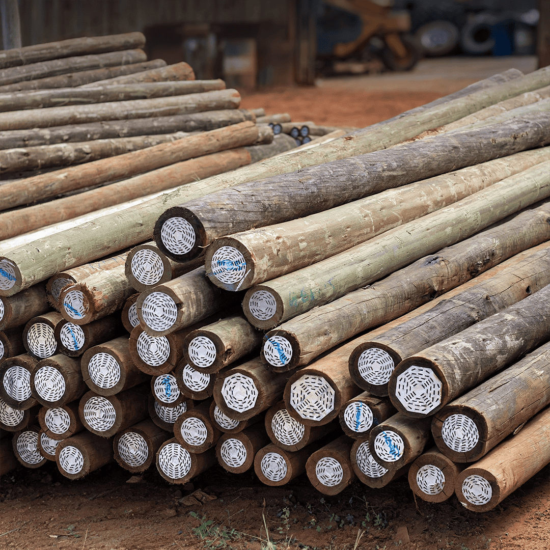 CCA treated gum poles stacked in the yard.