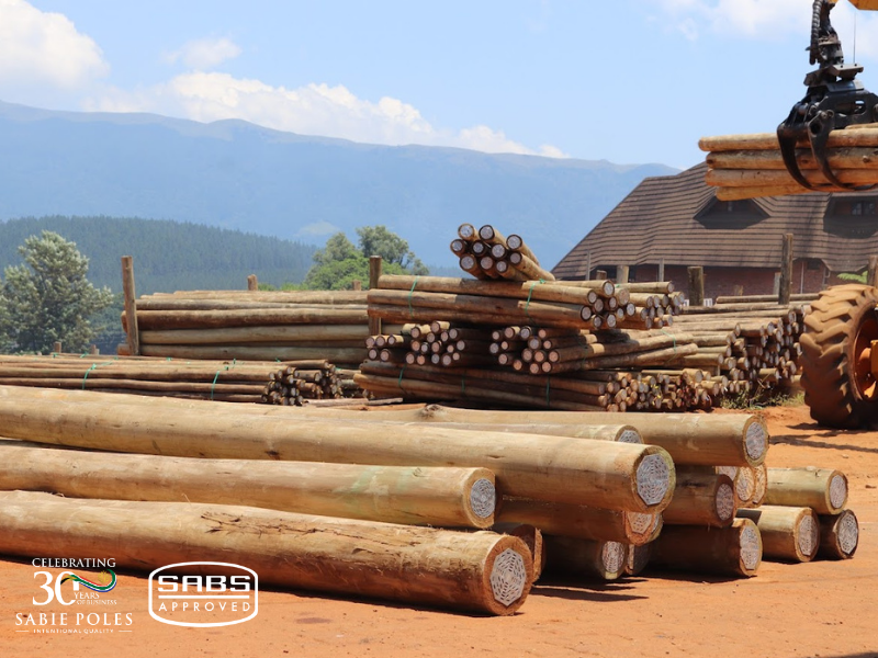 Display of certified poles in the Sabie Poles yard.