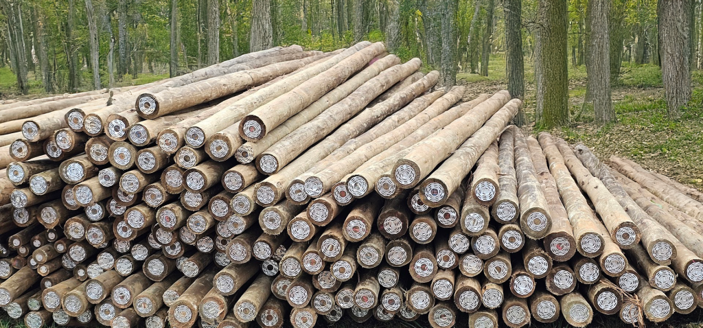 CCA gum poles stacked and ready to use.